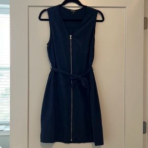 Express Navy Dress